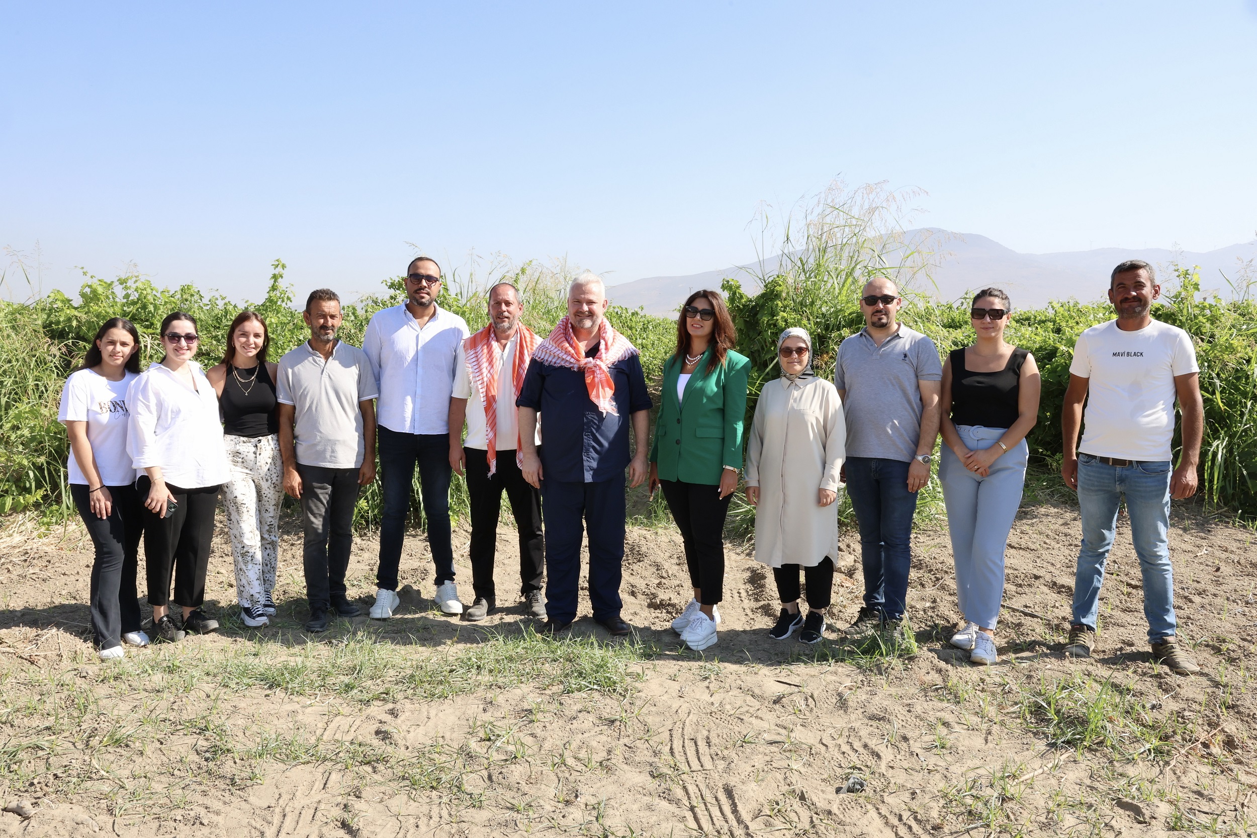 Menemen'de üzüm bağında sabah mesaisi