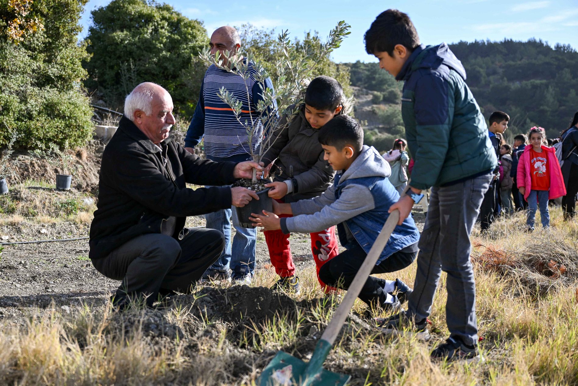 Bornova’da 24 Kasım hediyesi: Ölmez ağaç