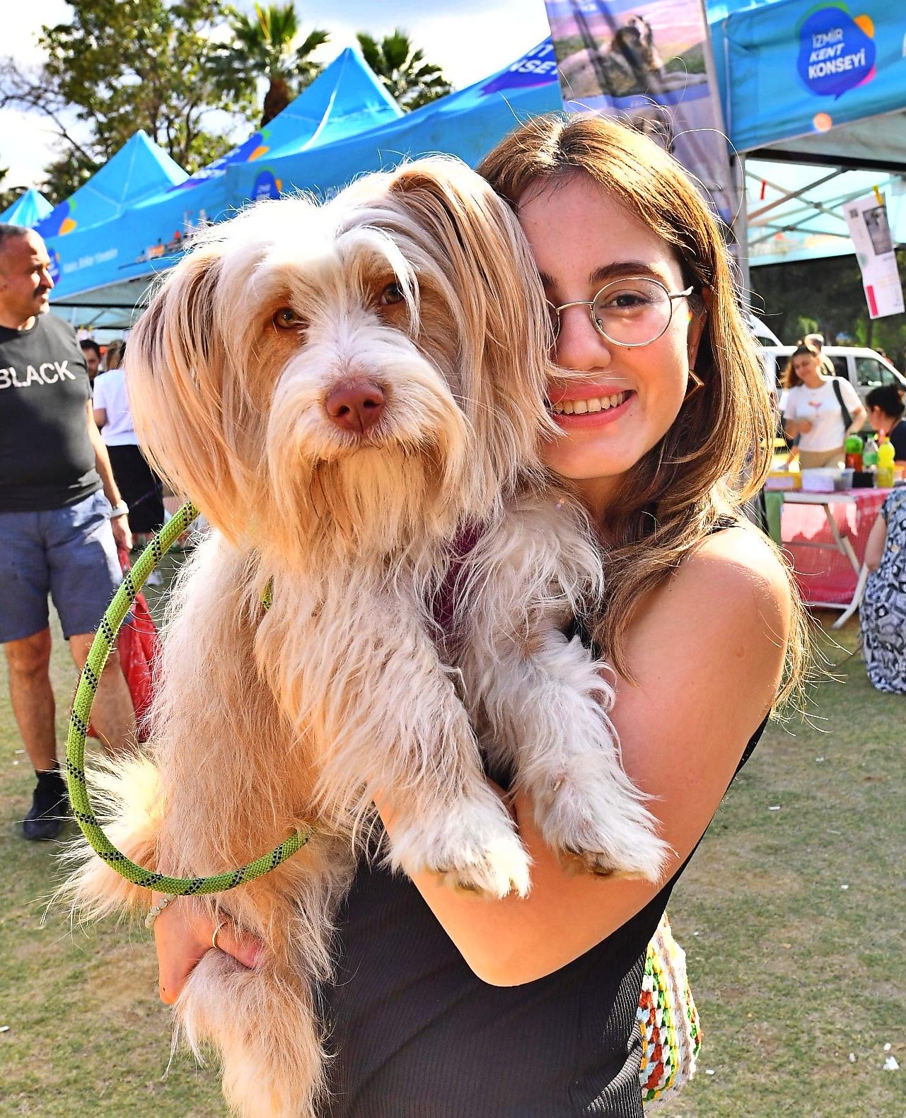 25 bin hayvan kısırlaştırıldı, bin 200’ü sıcak yuvaya kavuştu