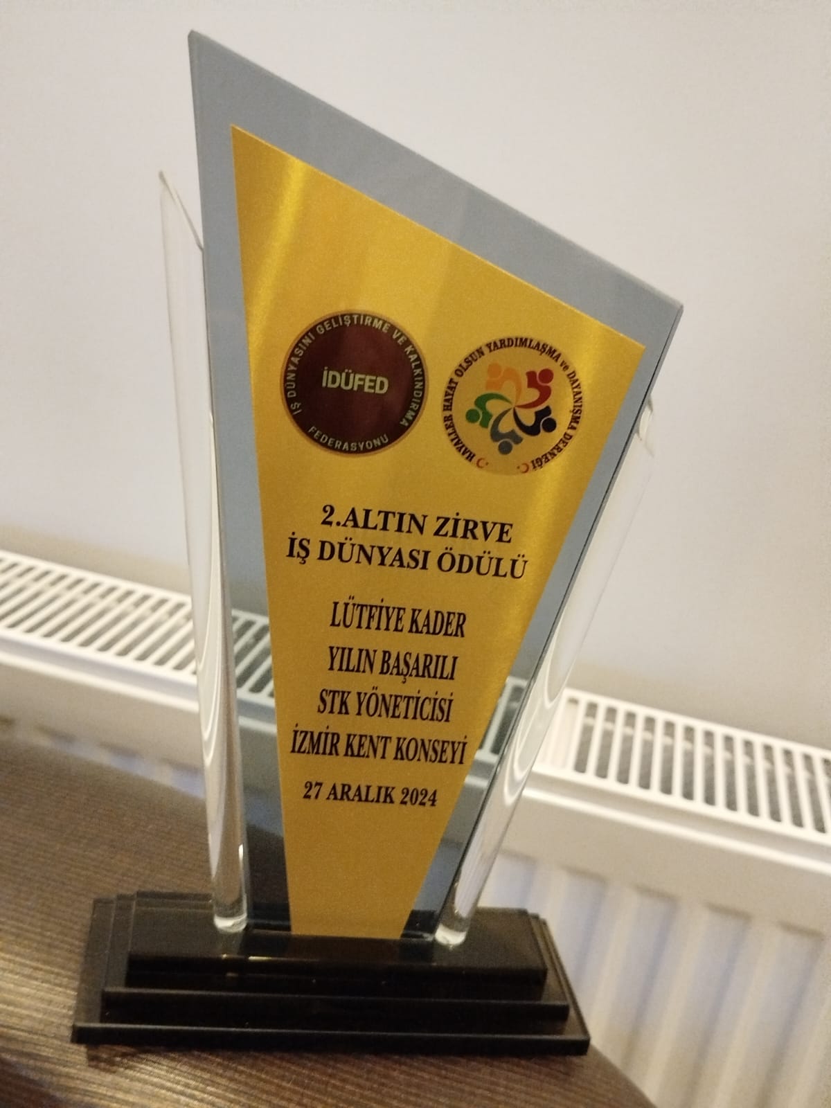 Lütfiye Kader, Çevre ve Eğitimdeki Başarısıyla İzmir Kent Konseyi Yönetimine Aday!