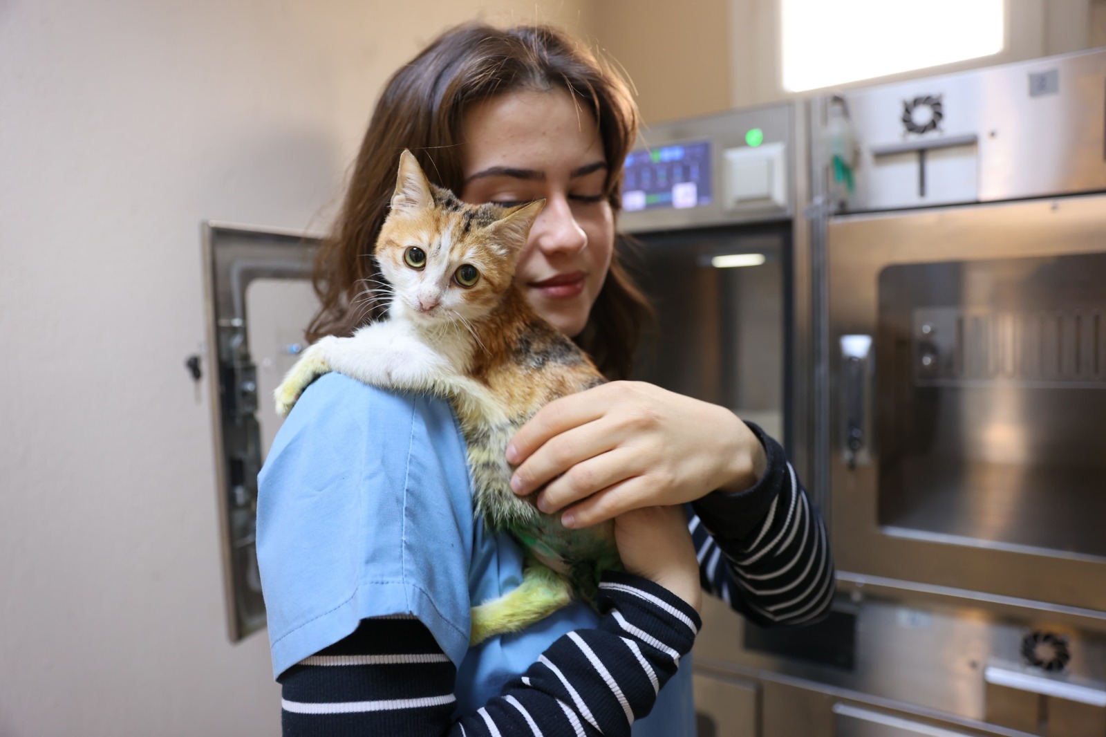 Ağır yaralarına rağmen yaşama tutundu, adı “Azim” oldu