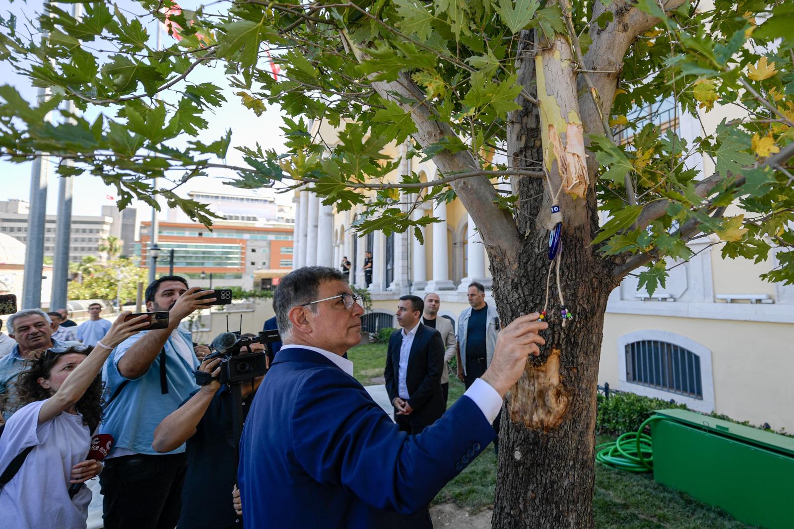 Devrilen çınar ağacı yerine yenisi dikildi