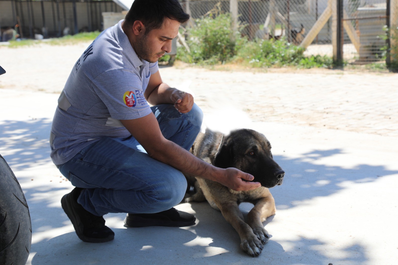 Efes Selçuk’ta “Satın Alma Sahiplen” Çağrısı