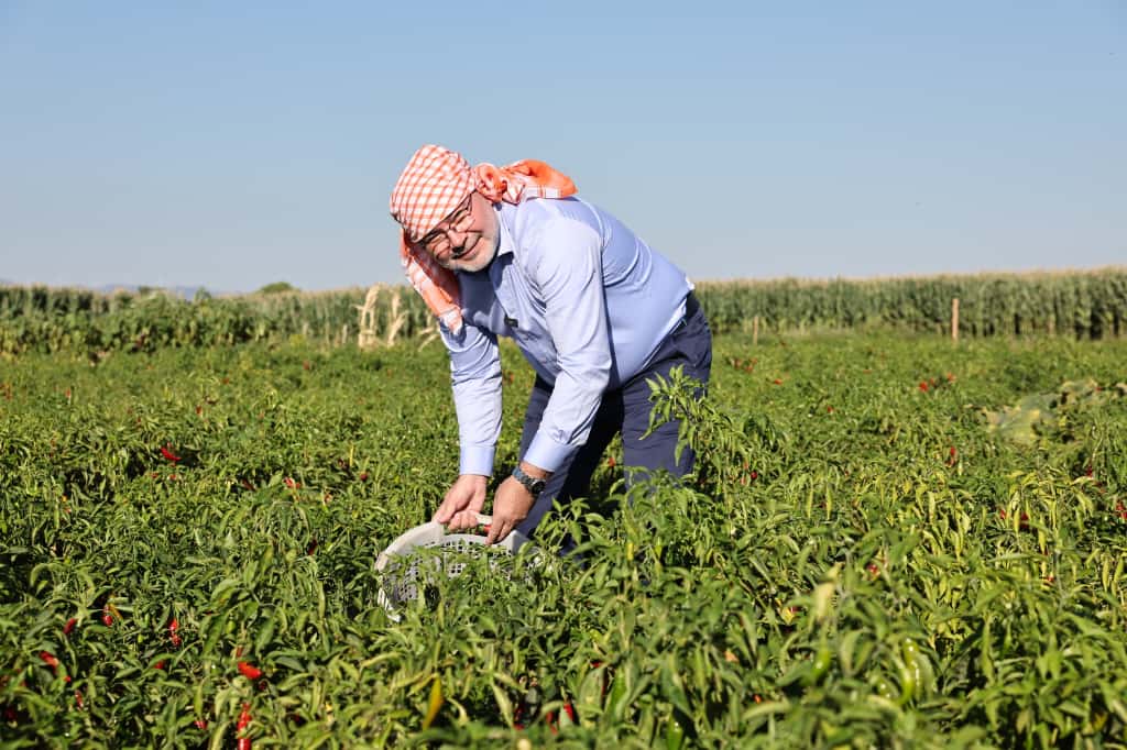 Başkan  Saygılı'dan Kınık çıkarması ve art arda mesajlar!