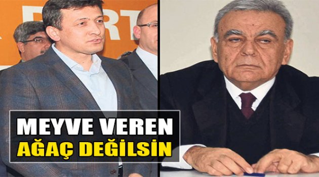 Dağ:Meyve Veren Ağaç Değilsin