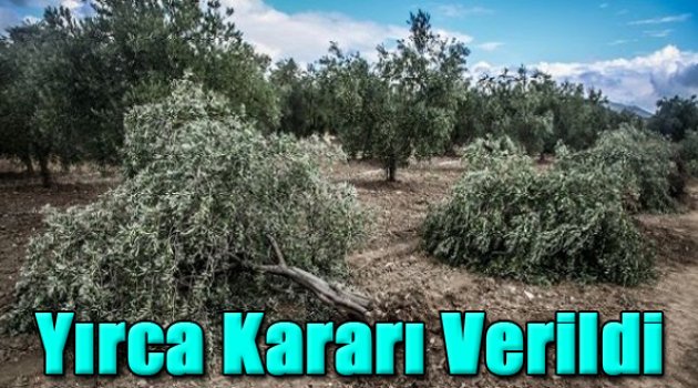 Danıştay&#039;dan Yırca Kararı