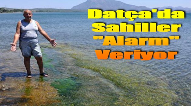 Datça&#039;da Sahiller &#039;Alarm&#039; Veriyor!