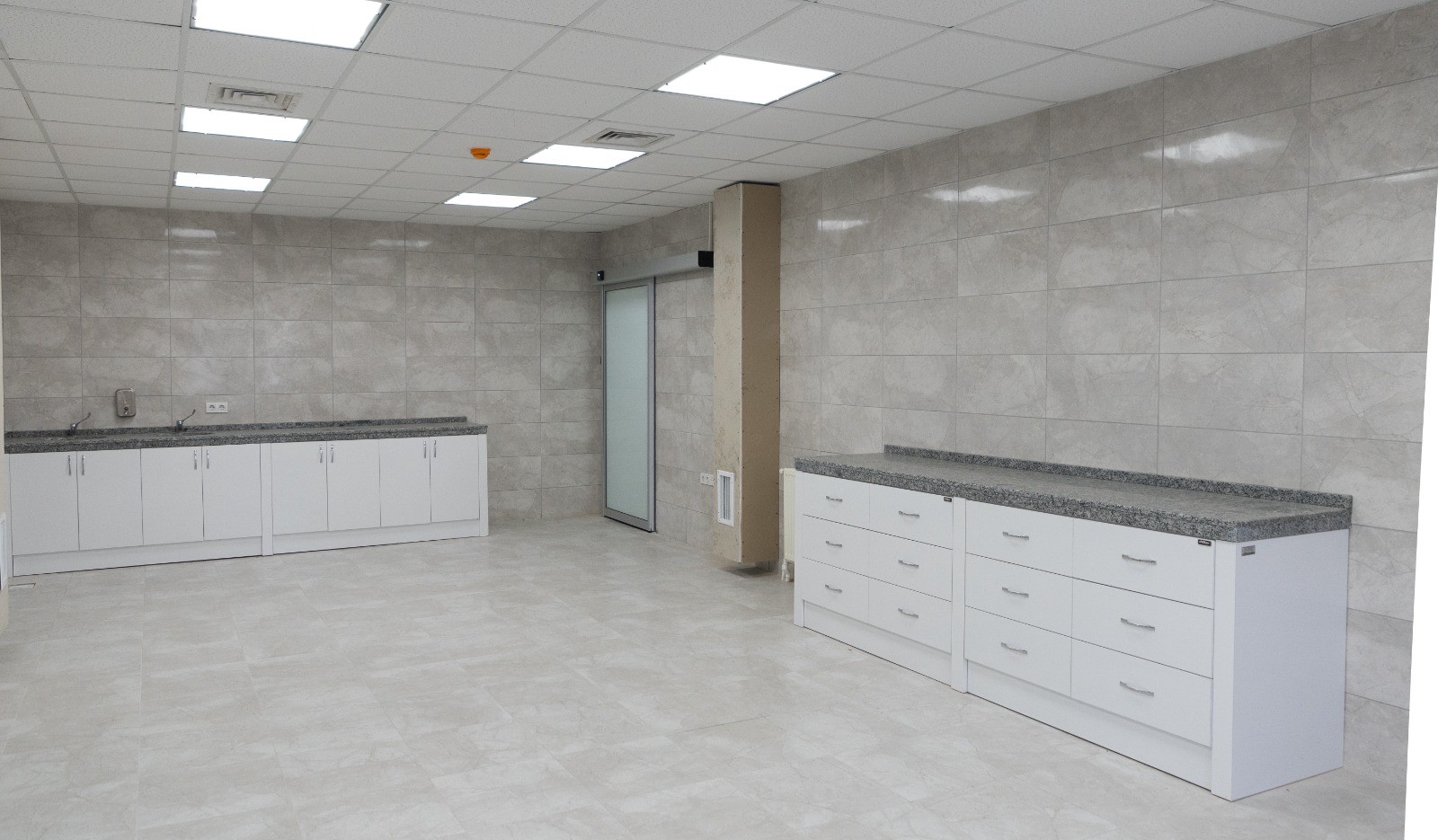 İlk kamu hayvan hastanesi İzmir'de açılıyor