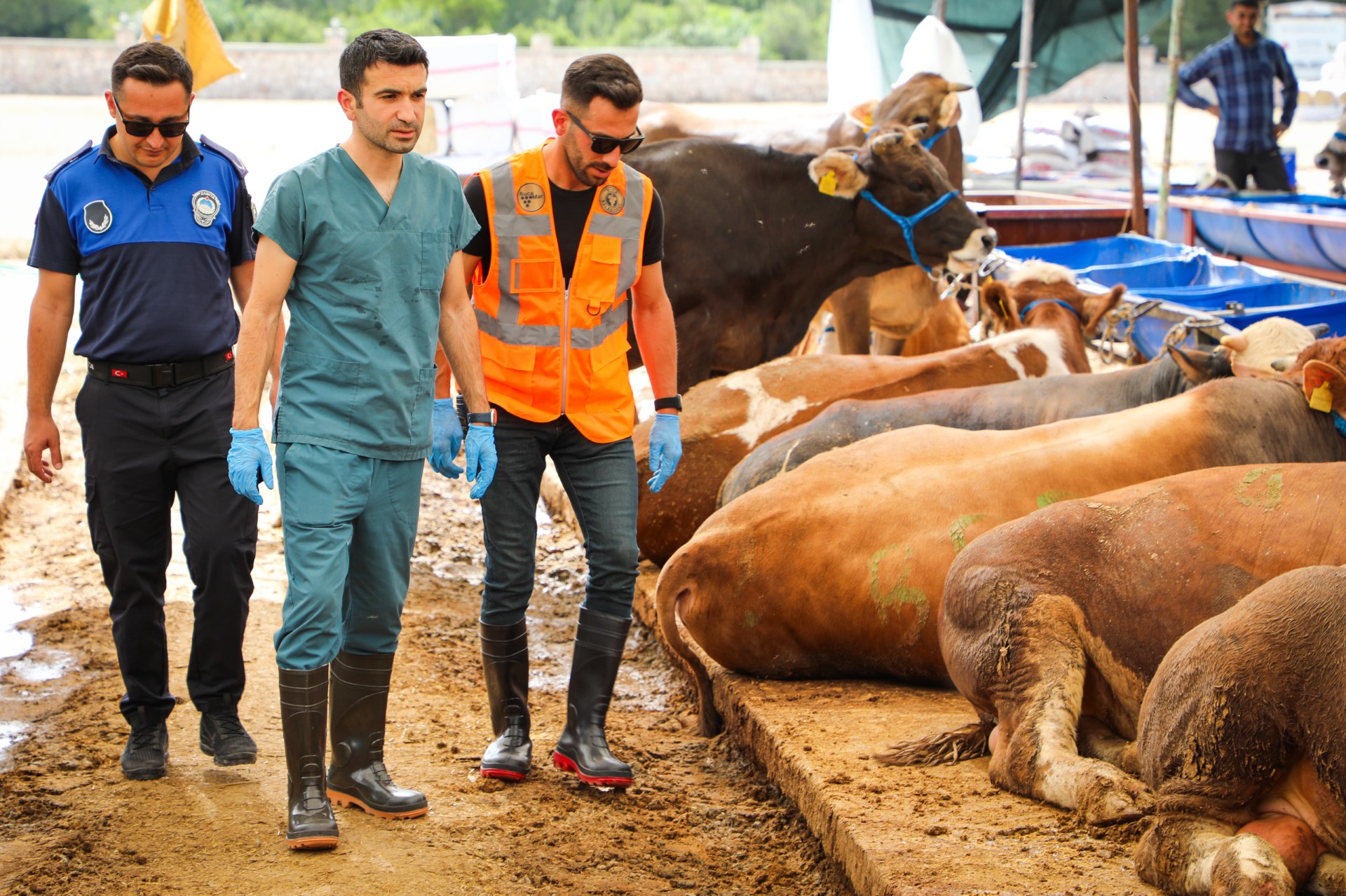Buca’da kurban pazarlarında sıkı denetim