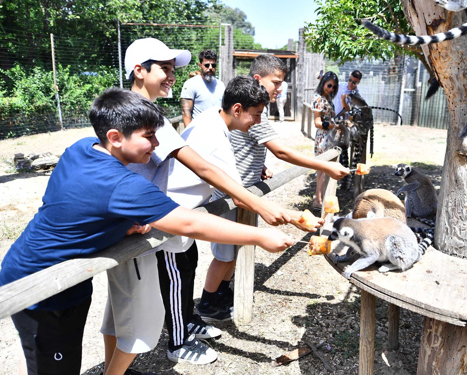 Doğal Yaşam Parkı sakinlerini serinleten menü