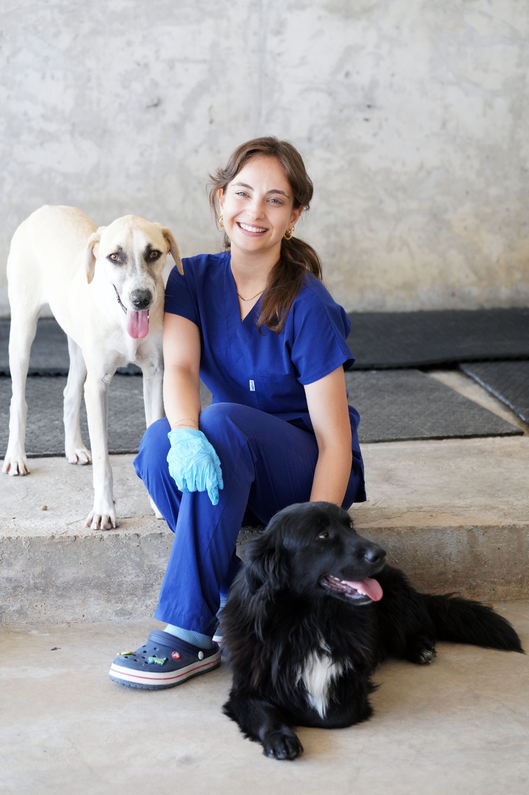 Yılın ilk 6 ayında İzmir'deki barınaklardan 500 köpek sahiplendirildi