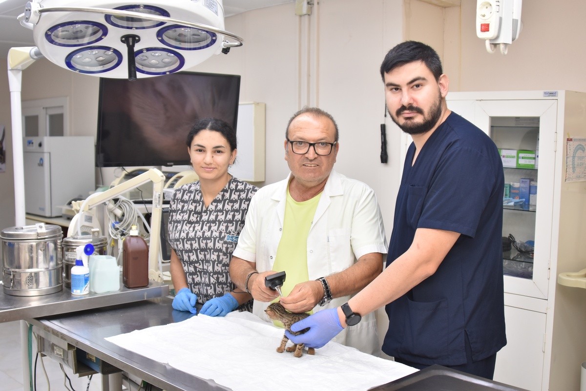 Başkan Yiğit: “Öldürme yasasına karşıyız”