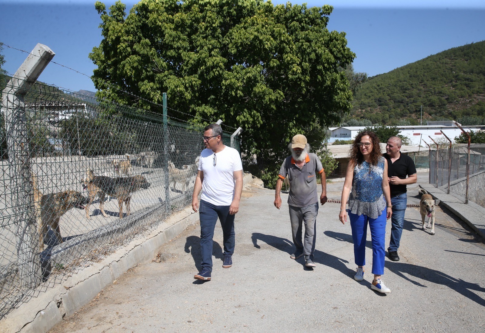 Karşıyaka Belediyesi yeni hayvan barınağı için düğmeye bastı