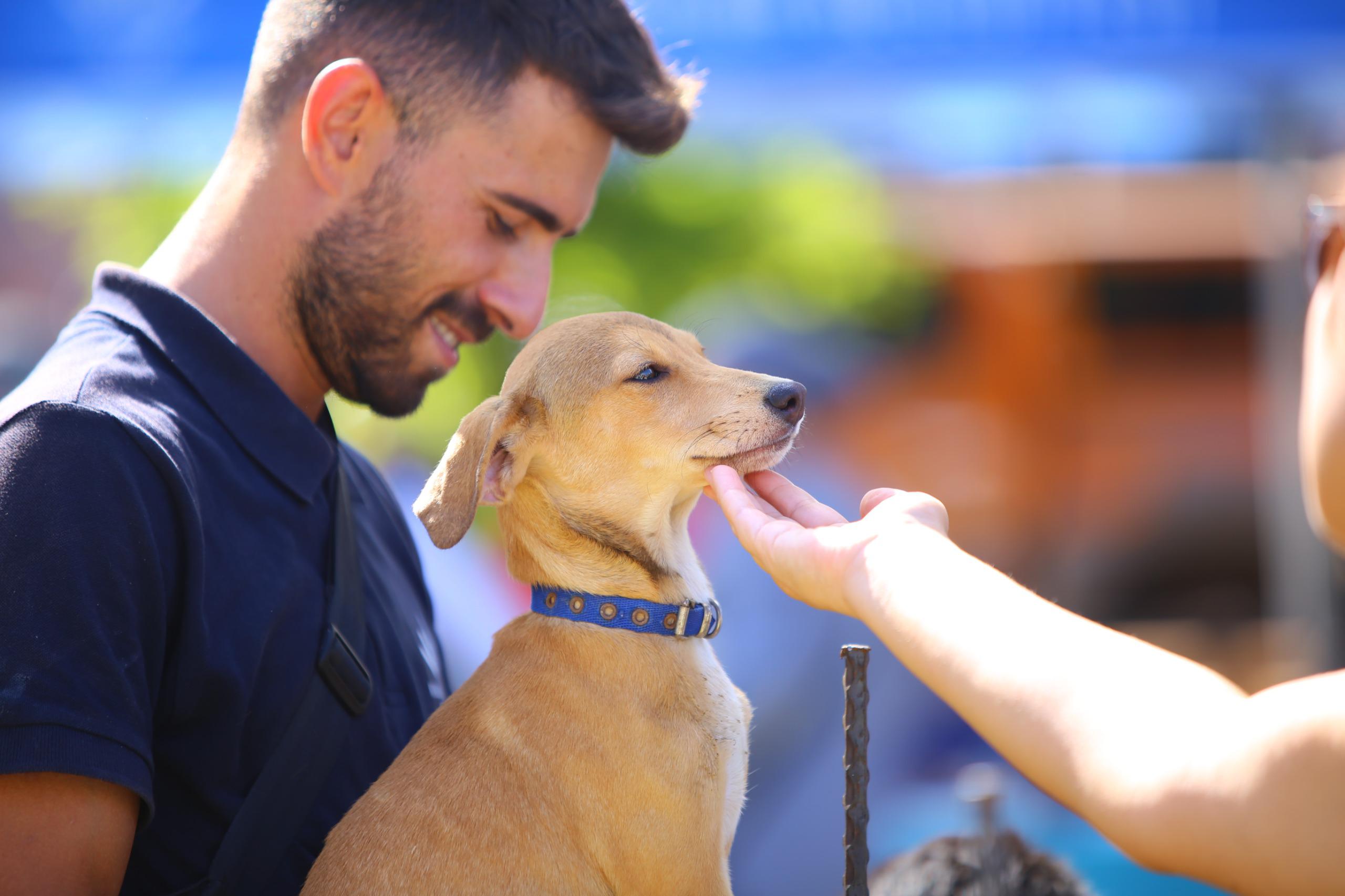 Karabağlar patili dostlar için buluştu