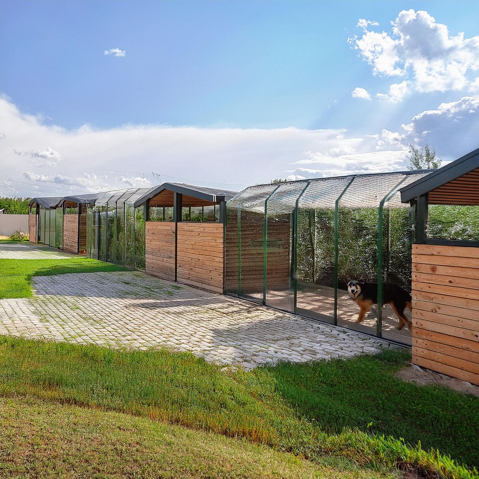 Karşıyaka yeni hayvan barınağına kavuşuyor