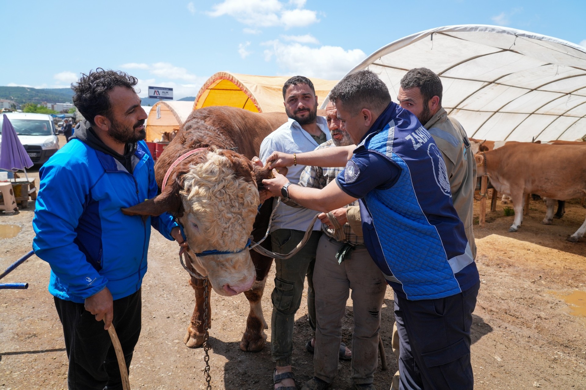 Gaziemir’de kurban satış yerlerinde sıkı denetim