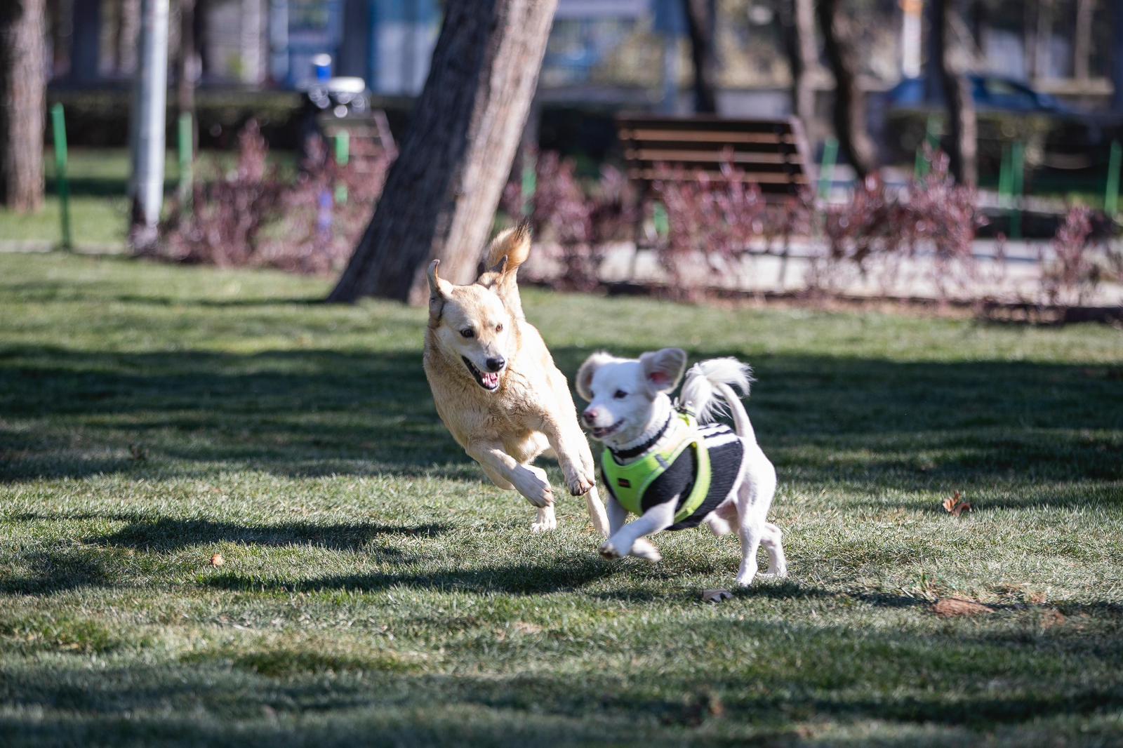 Başkan Tugay döneminde hedef yemyeşil İzmir