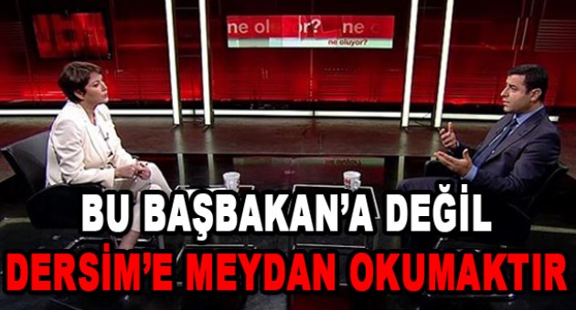 Demirtaş: Başbakan'a değil, Dersim'e meydan okumaktır