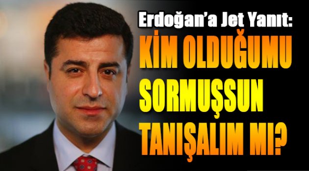 Demirtaş'tan Erdoğan'a: Kim olduğumu sormuşsun, tanışalım mı?