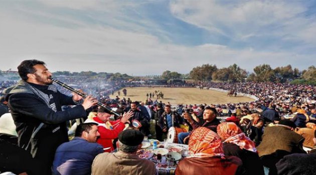 Deve Güreşleri Hazırlıkları Tamamlandı