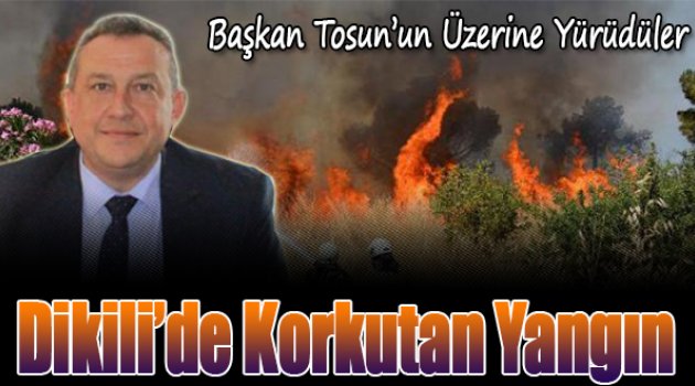 Dikili'de Korkutan Yangın