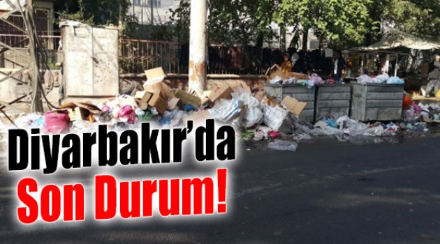 Diyarbakır Çöp Kente Döndü!