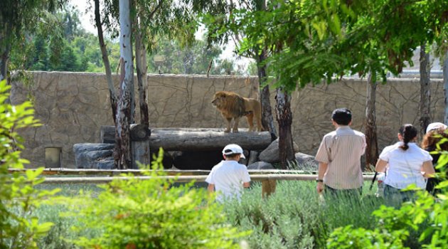 Doğal Yaşam 'bayram' etti