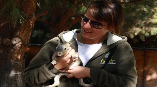 Doğal Yaşam'da Mara Yavrusu Heyecanı