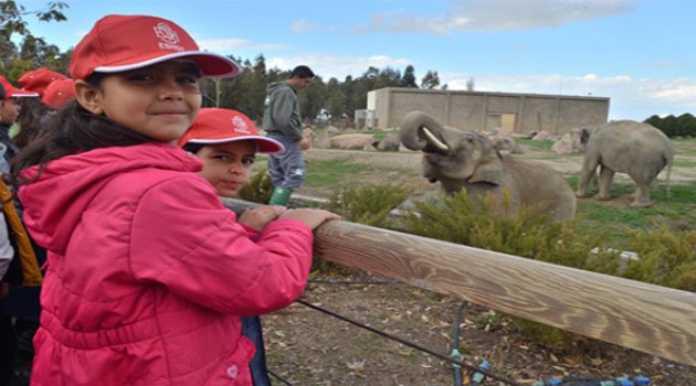 Doğal Yaşam'dan Yeni Rekor