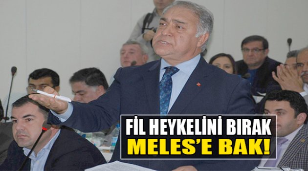 Doğan:Fil Heykelini Bırak, Meles'e Bak
