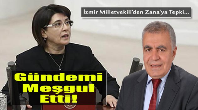 Doğan'dan Zana'ya Eleştiri...