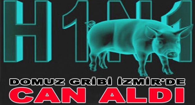 Domuz gribi İzmir'de can aldı