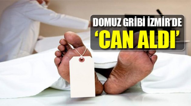 Domuz Gribi İzmir'de Can Aldı
