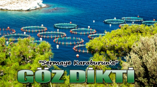 Doymak Nedir Bilmiyorlar! Şimdi de Karaburun'a Göz Diktiler...
