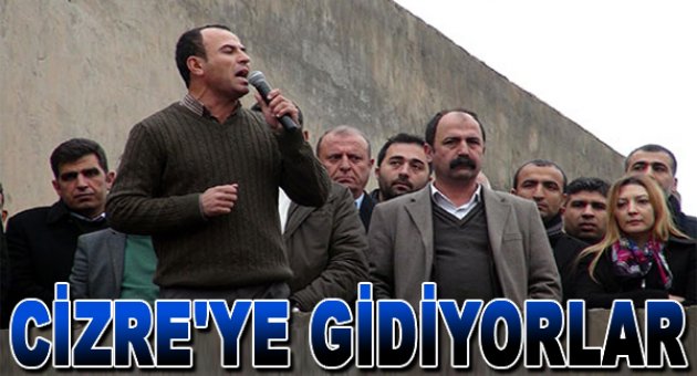 DTK Eş Başkanları ve HDP milletvekilleri Cizre'ye gidiyor