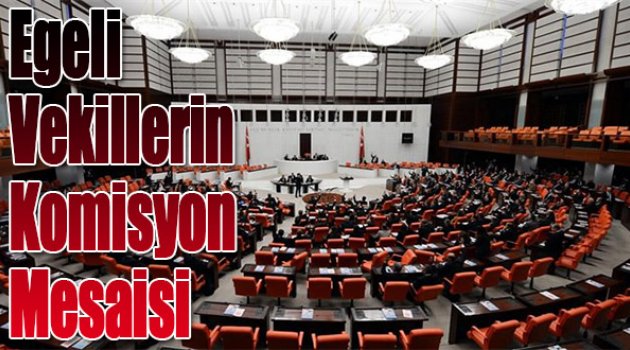 Egeli Vekillerin Komisyon Mesaisi