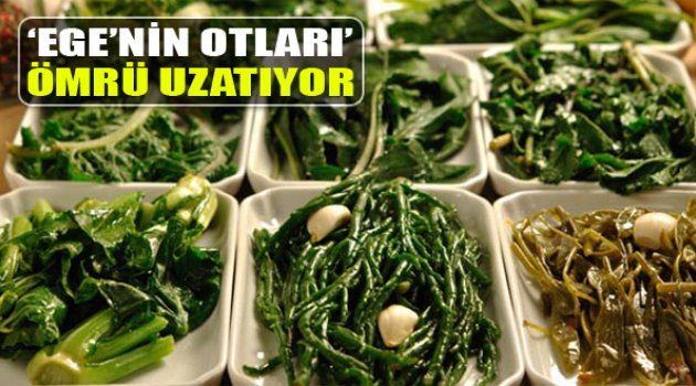 Ege'nin Otları Ömrü Uzatıyor