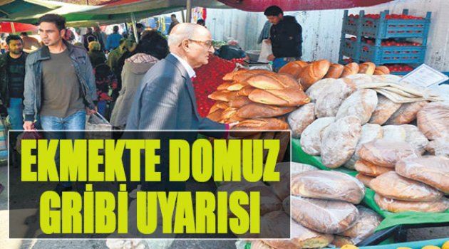 Ekmekte Domuz Gribi Uyarısı