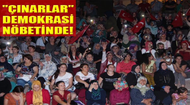 Engelli Dev Çınarlar Demokrasi Nöbetinde