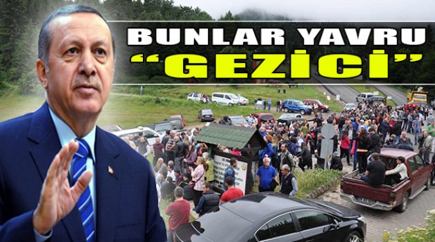 Erdoğan: "Bunlar Yavru Gezici"