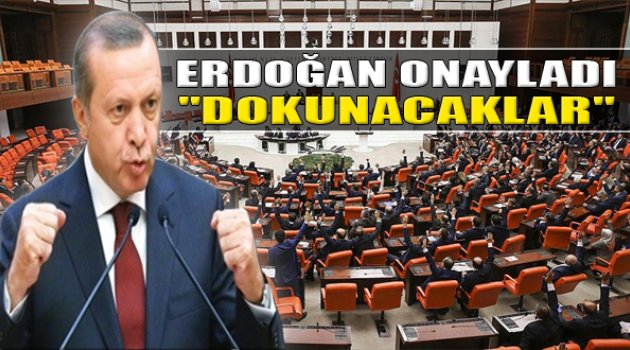 Erdoğan Dokunulmazlık Kararını Verdi!