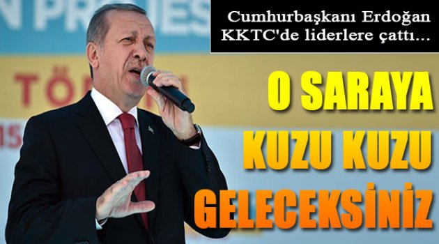 Erdoğan'dan Liderlere: Erdoğan: "Başınıza 'Kaçak Saray' Kadar Taş Düşsün"