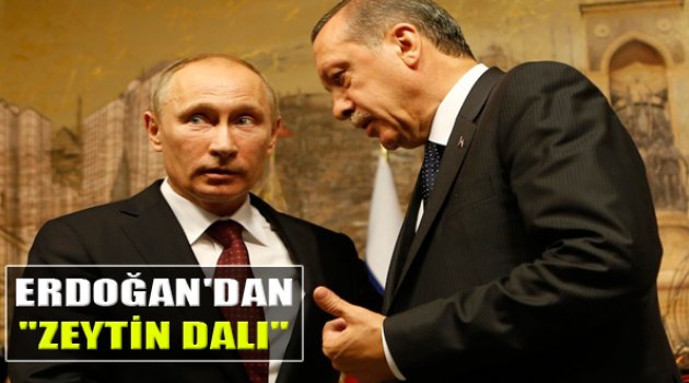 Erdoğan'dan Rusya'ya Zeytin Dalı