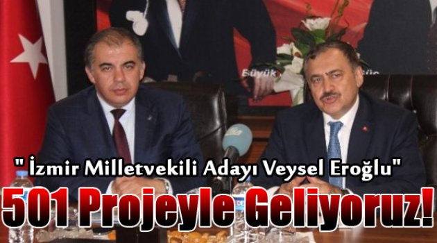 Eroğlu: "501 Proje ile Geliyoruz"
