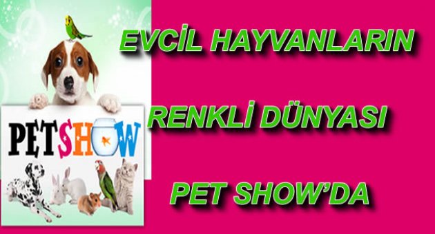 EVCİL HAYVANLARIN RENKLİ DÜNYASI PET SHOW’DA