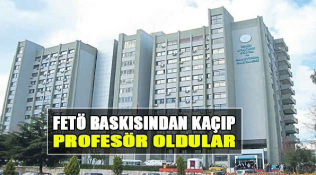 FETÖ Baskısından Kaçıp Profesör Oldular