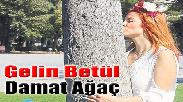 Gelin Betül Damat Ağaç