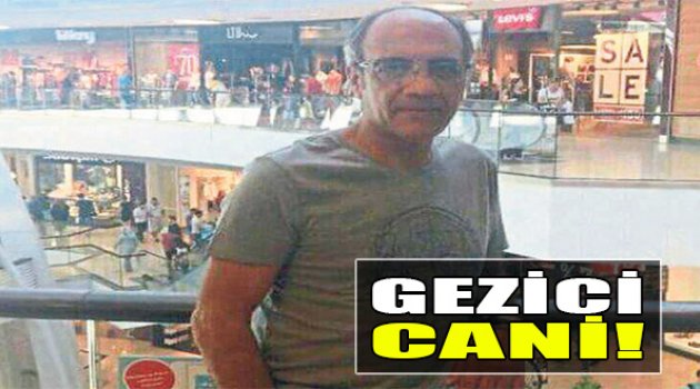 Gezici Cani!