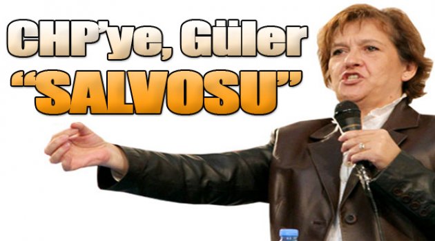 Güler 10 Maddede 2015 Seçiminde CHP Gerçeği