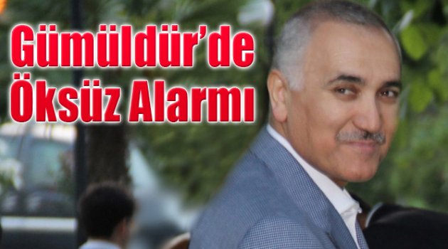 Gümüldür'de Öksüz ALarmı